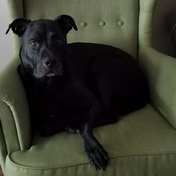 vader