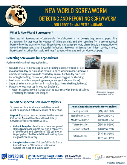 Detect-Report-Large-Animal