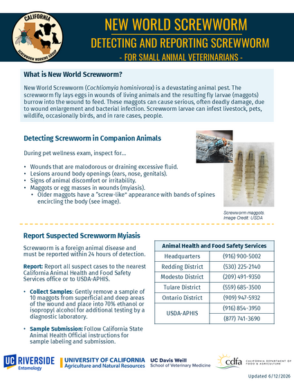 Detect-Report-Small-Animal