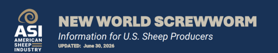 NWS-sheep