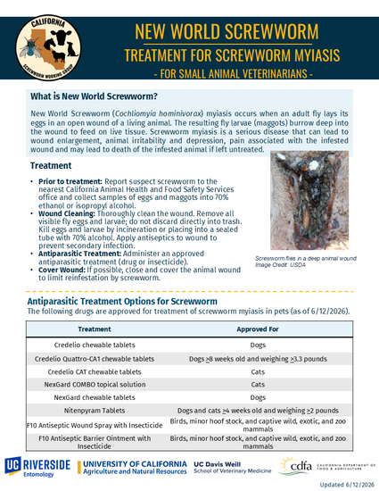 NWS-treatment-small-animals